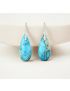 Turquoise Jasper Protection Drop Earrings