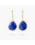 Earth Healing Energy Dangle Earrings