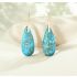 Turquoise Jasper Protection Drop Earrings