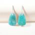 Amazonite Protection Drop Earrings